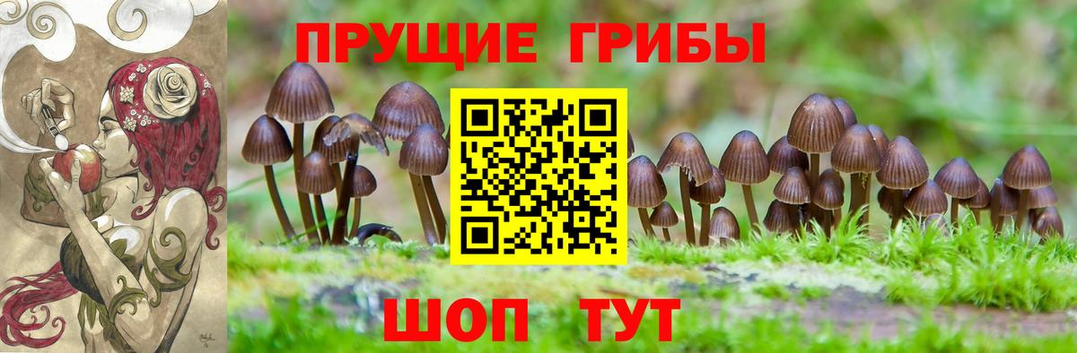 Псилоцибиновые грибы мухоморы Владивосток